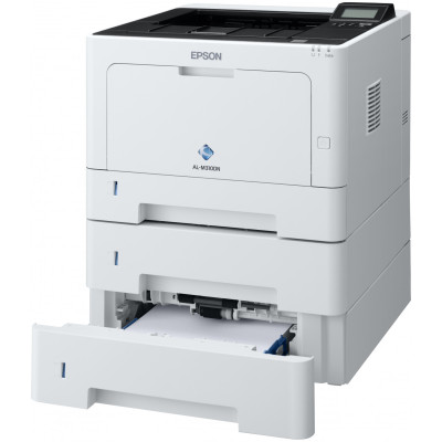 Epson WorkForce AL-M310DTN