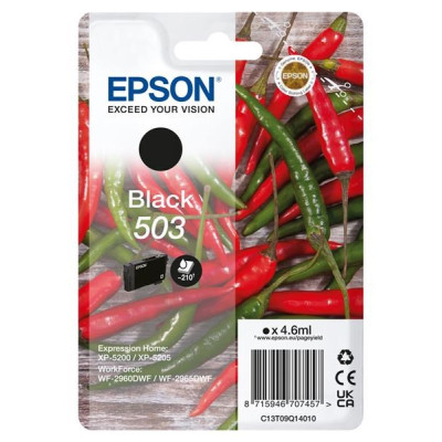 Epson T09Q1 (C13T09Q14010, 503), originální inkoust, černý, 210 stran (4,6 ml)