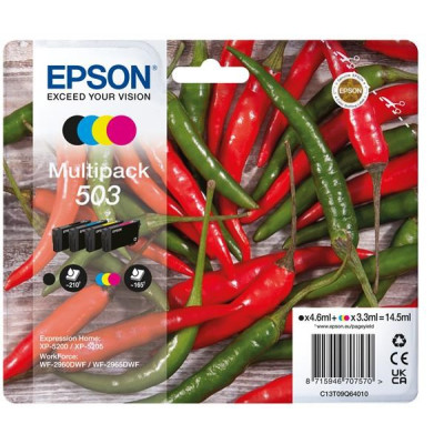 Epson T09Q6 (C13T09Q64010, 503), originální inkoust, CMYK, 210/165 stran