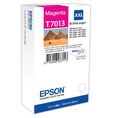 Epson T7013 (C13T70134010), originální inkoust, purpurový, 3400 stran